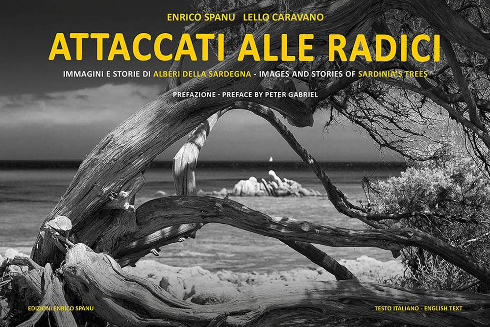Attaccati alle radici. Immagini e storie di alberi della Sardegna. Ediz. italiana e inglese (Libri fotografici) Travel