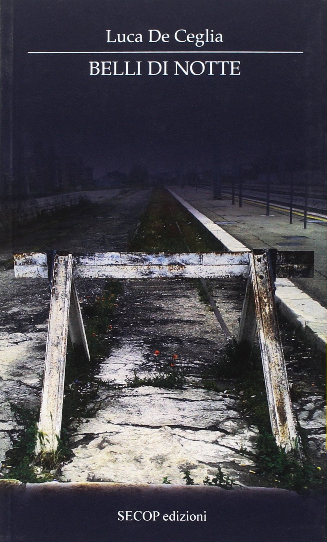 Belli di notte (Correlazione universale) Contemporary literature