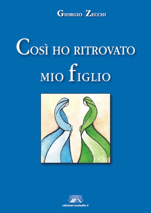 Così ho ritrovato mio figlio Contemporary literature