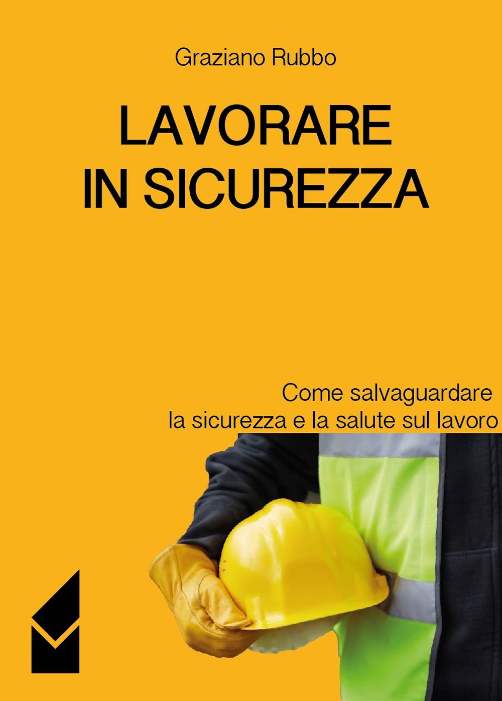 Lavorare in sicurezza. Come salvaguardare la sicurezza e la salute sul lavoro book