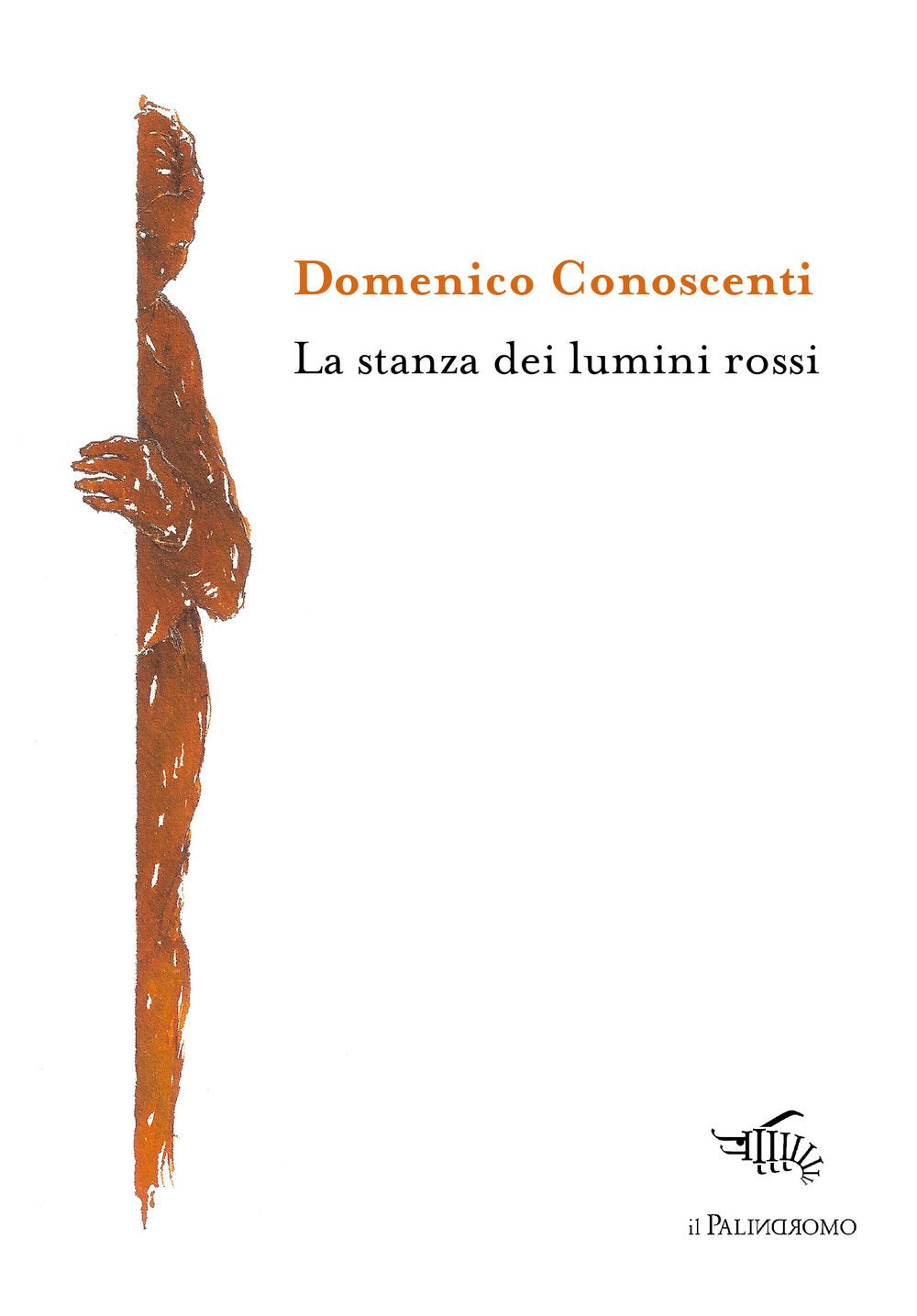 La stanza dei lumini rossi book