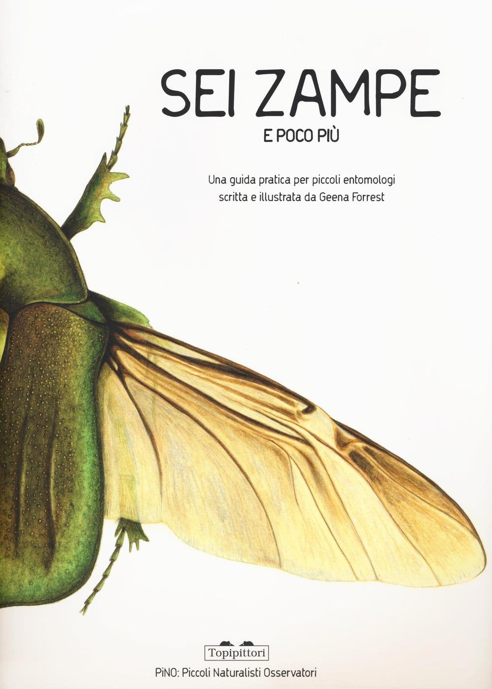 Sei zampe e poco più. Una guida pratica per piccoli entomologi Non-fiction