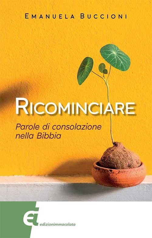 Ricominciare. Parole di consolazione nella Bibbia book