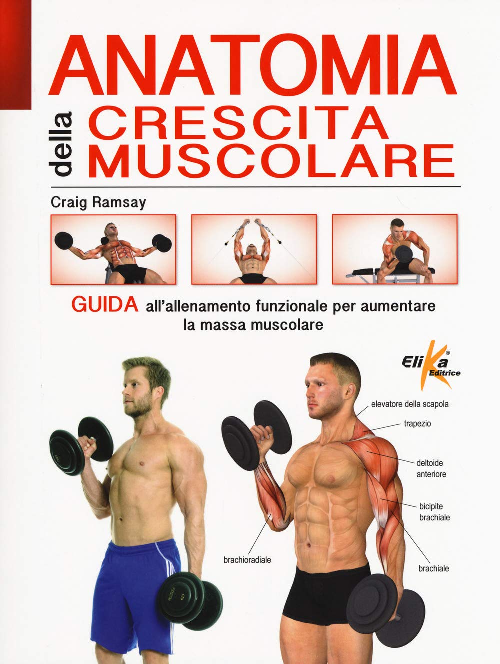 Craig Ramsay - Anatomia Della Crescita Muscolare. Guida All'allenamento Funzionale Per Aumentare La Health, Nutrition & Fitness