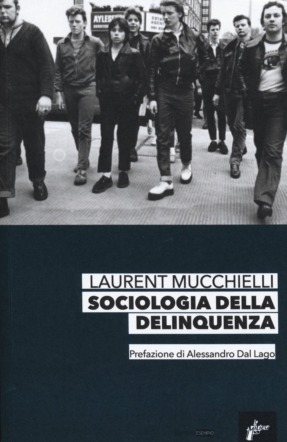 Sociologia della delinquenza book