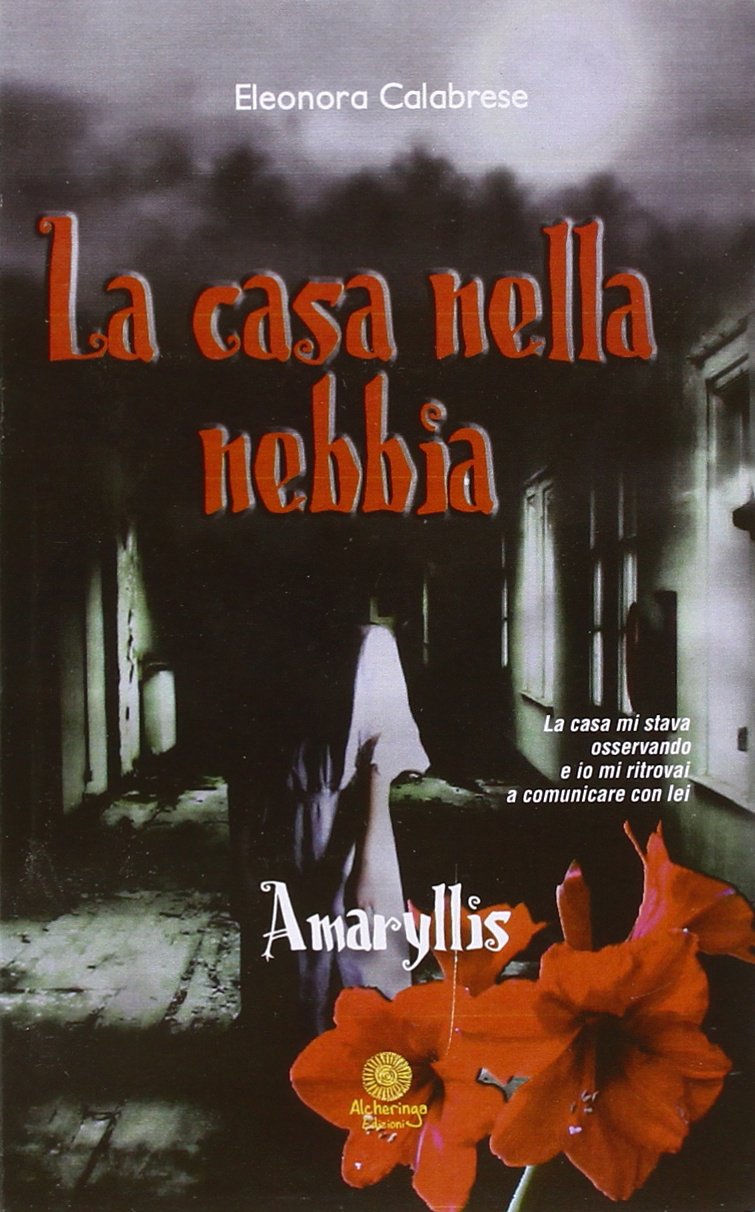 La casa nella nebbia. Amarillys book