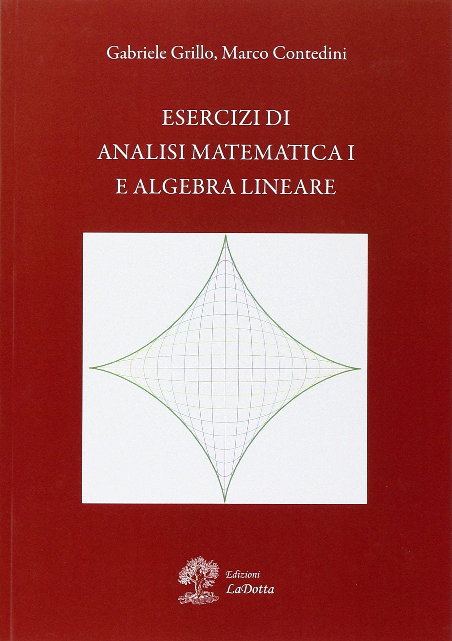 Esercizi di analisi matematica 1 e algebra lineare book