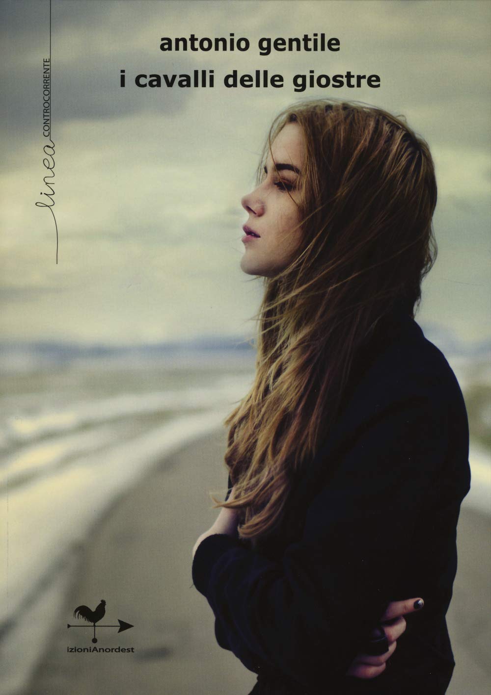 I cavalli delle giostre book