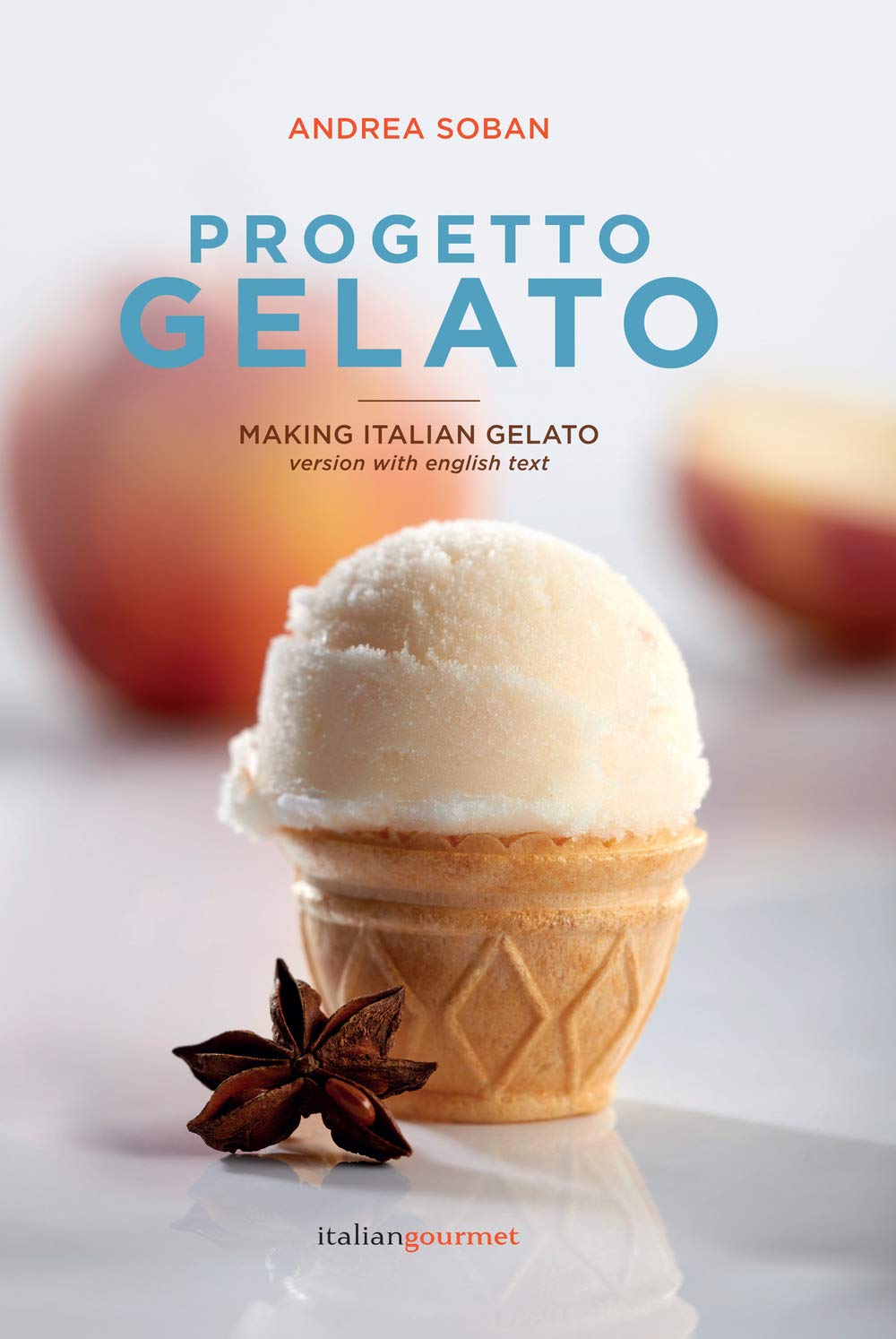 Progetto gelato. Ediz. italiana e inglese book