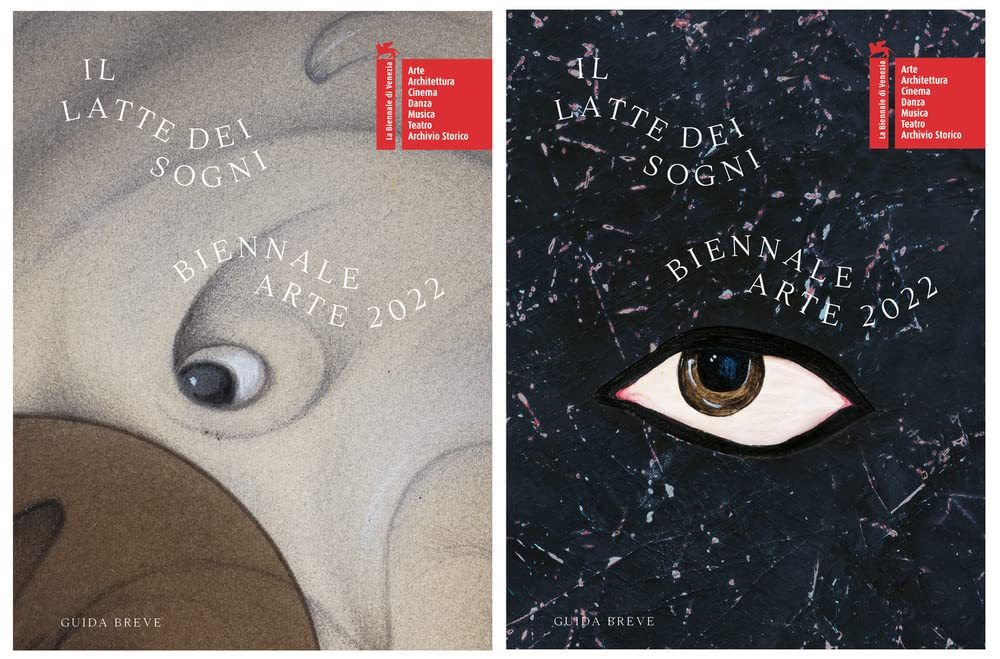La Biennale di Venezia. 59ª Esposizione internazionale d'arte. Il latte dei sogni. Ediz. a colori book