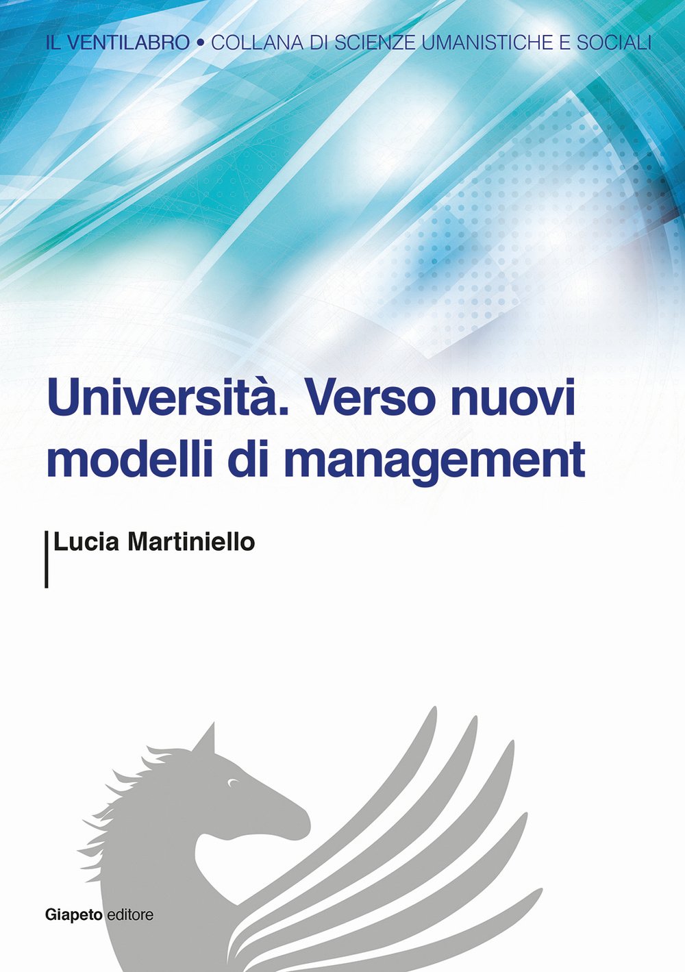 Università. Verso nuovi modelli di management book