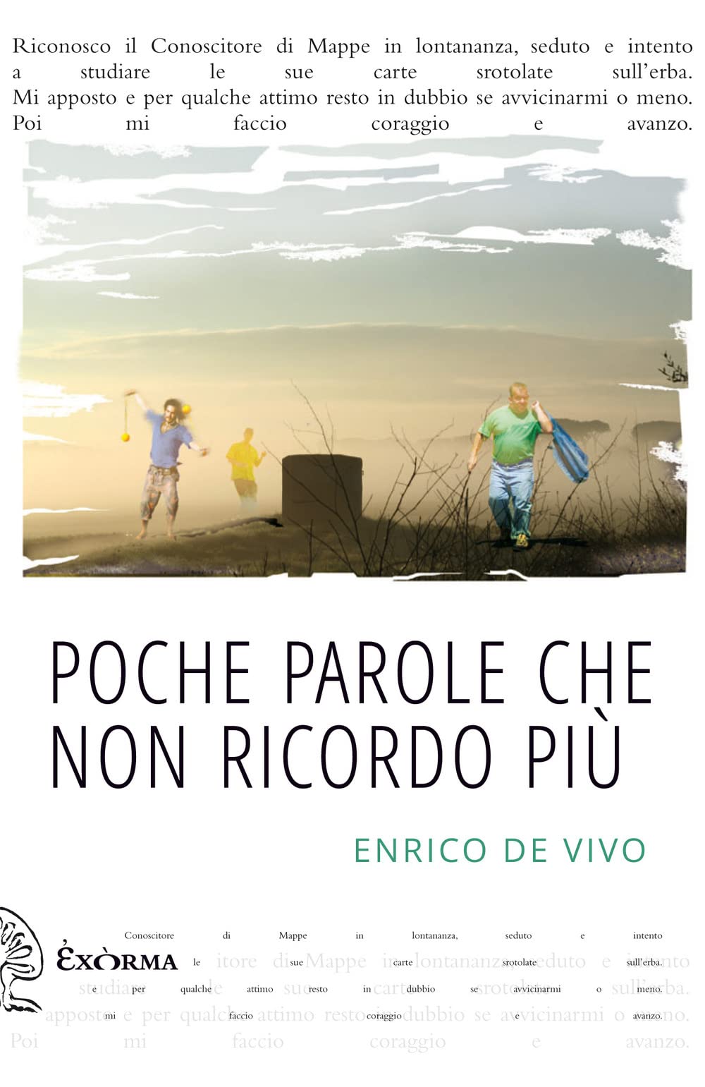 Poche parole che non ricordo più book