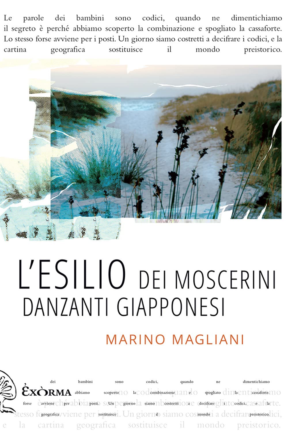 L'esilio dei moscerini danzanti giapponesi book