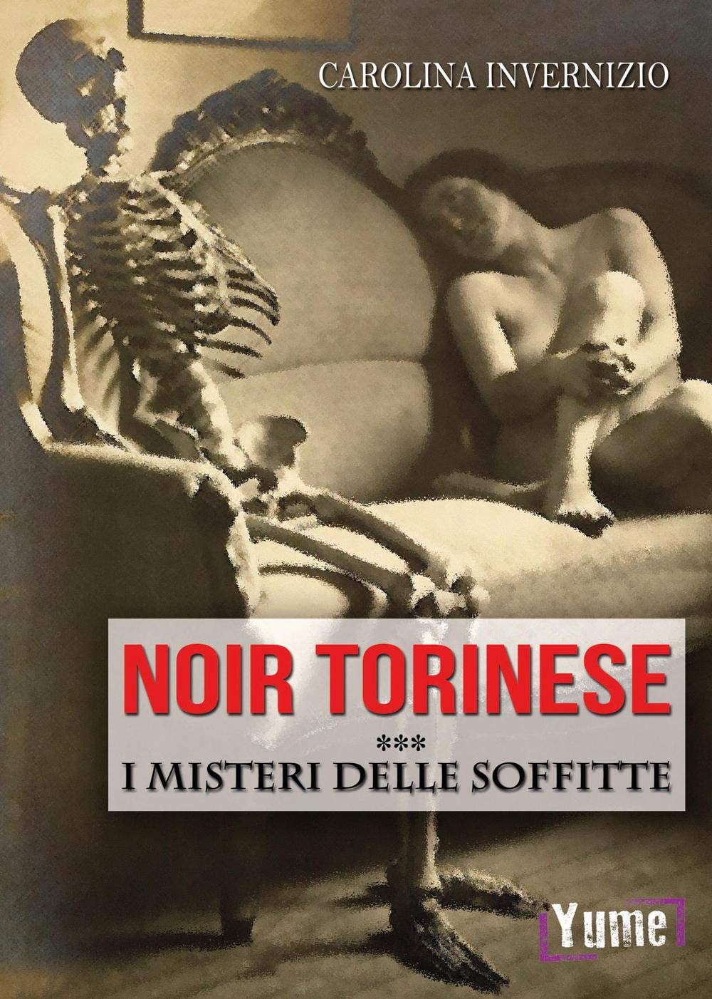 I misteri delle soffitte book