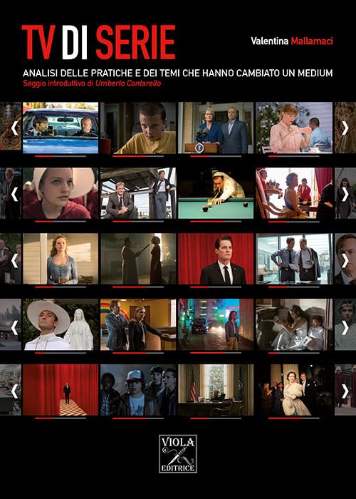 TV di serie. Analisi delle pratiche e dei temi che hanno cambiato il medium book