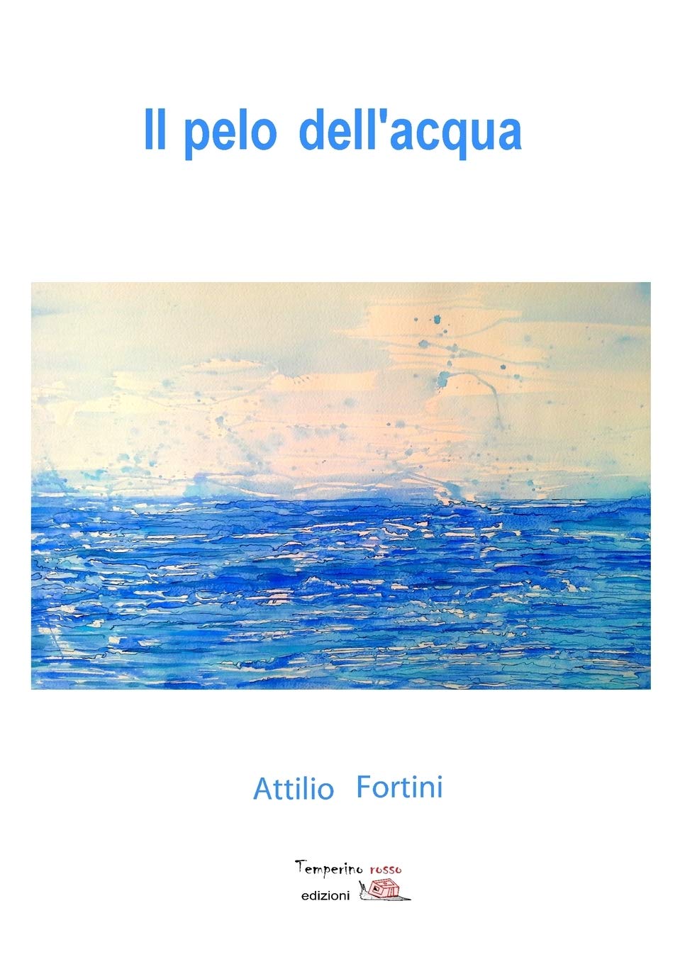 Il pelo dell'acqua (Viaggio delle idee) Contemporary literature