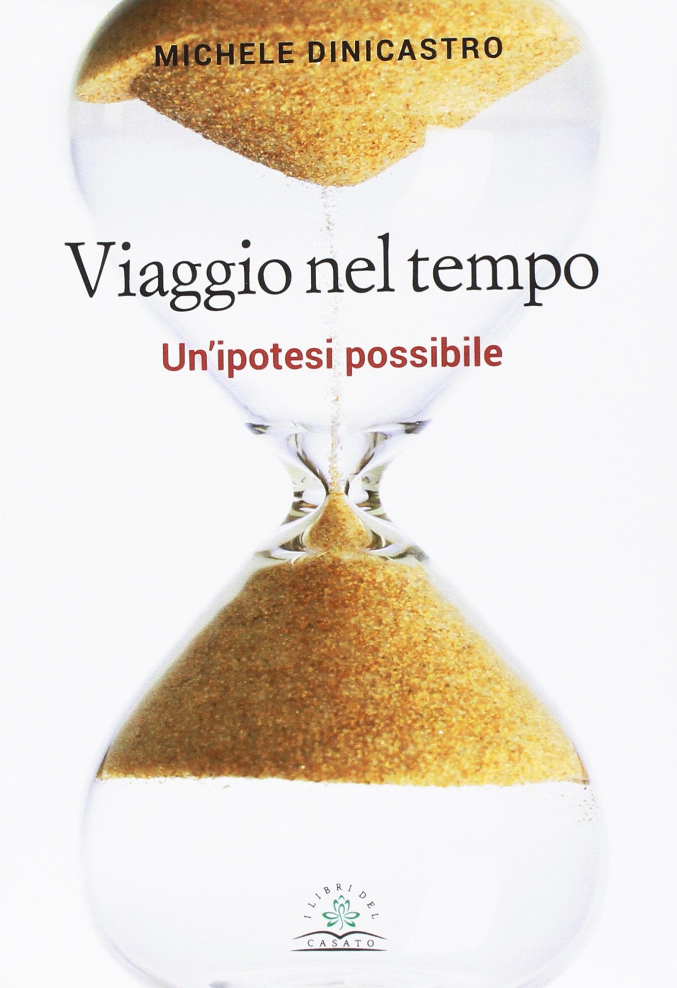 Viaggio nel tempo. Un'ipotesi possibile book