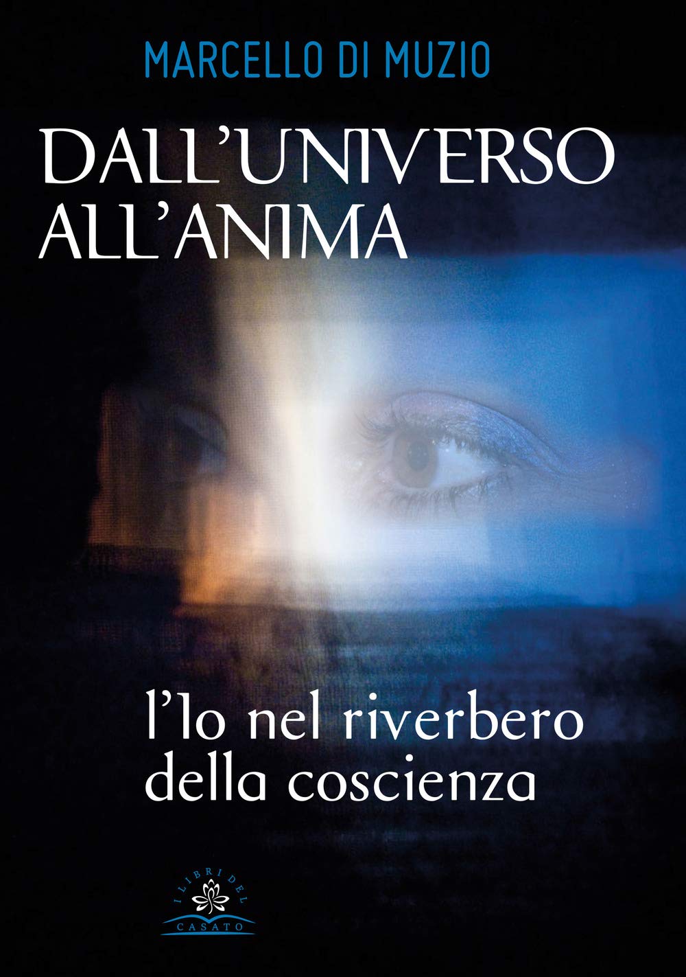 Dall'universo all'anima. L'io nel riverbero della coscienza book
