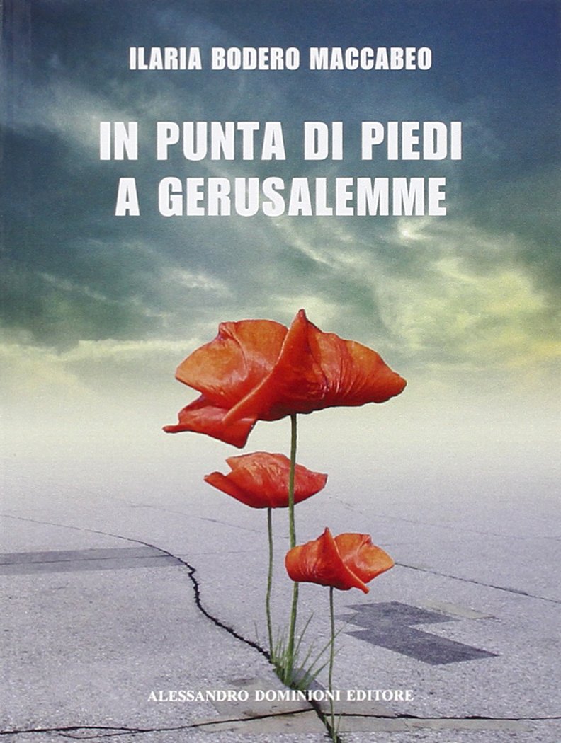 In punta di piedi a Gerusalemme book