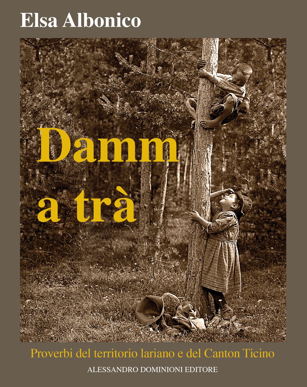Damm a tra'. Proverbi del territorio lariano e del Canton Ticino Books