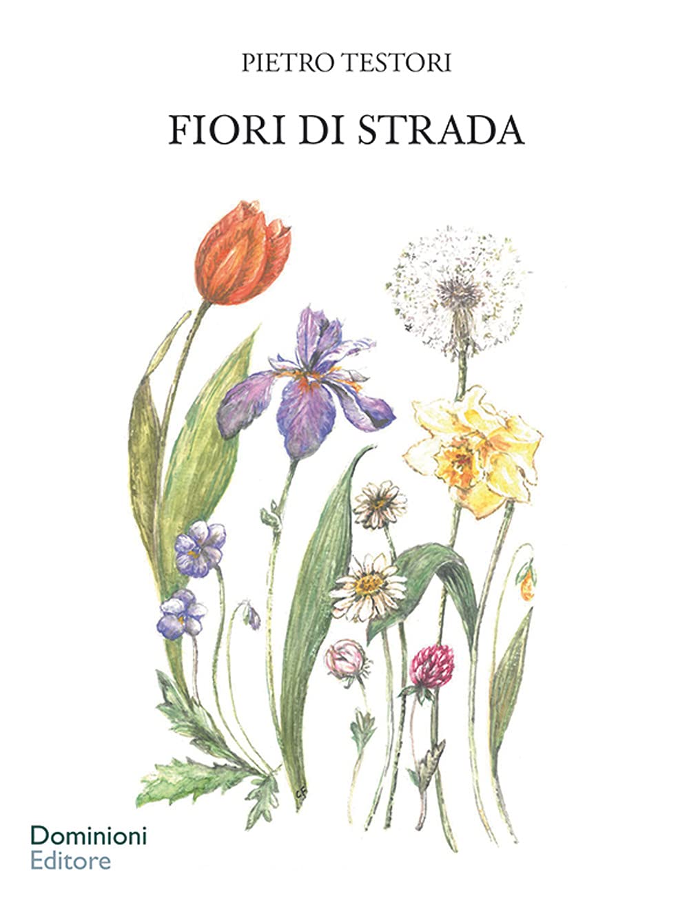 Fiori di strada (Caramelle) Leisure, Home & Garden