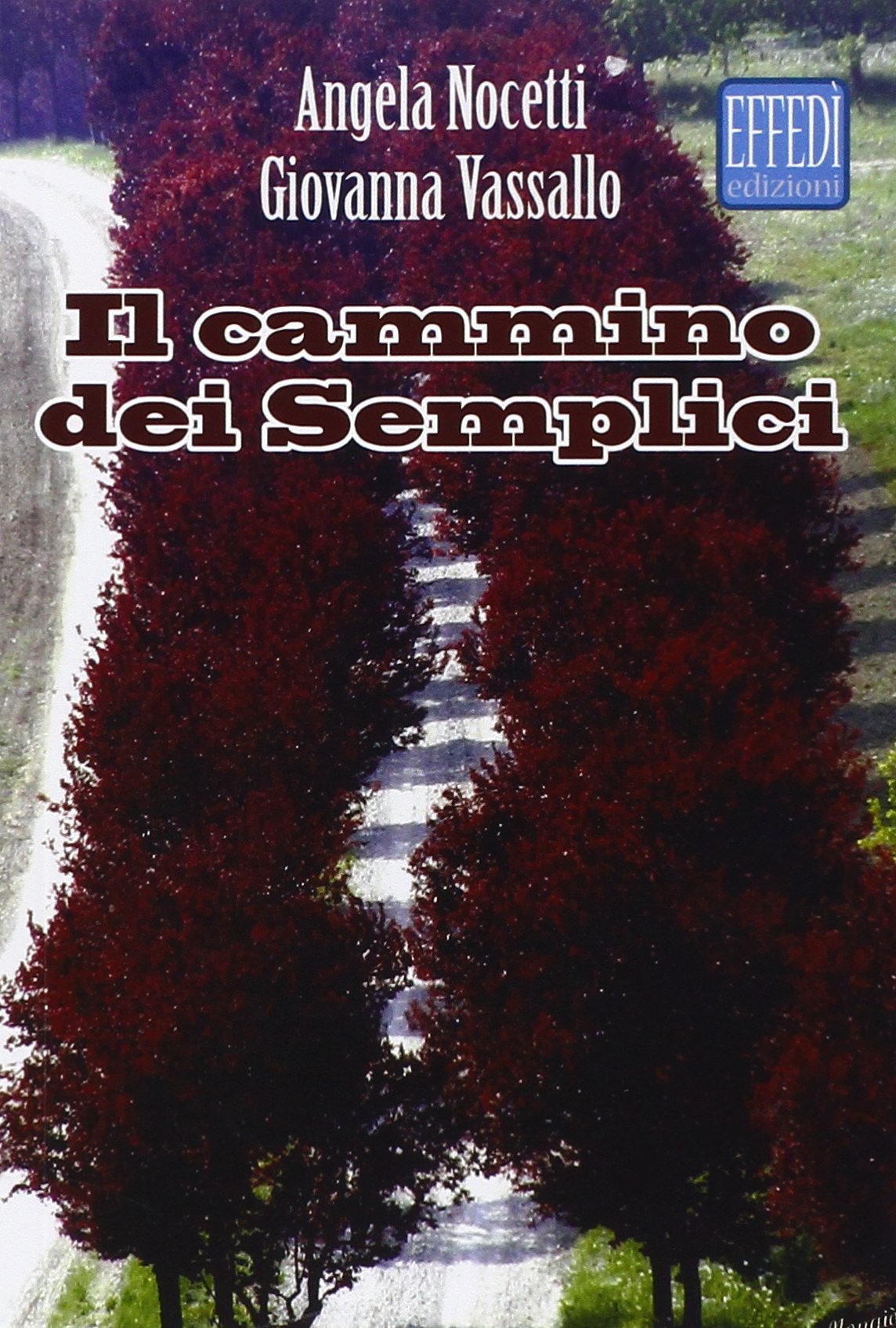 Il cammino dei semplici Contemporary literature