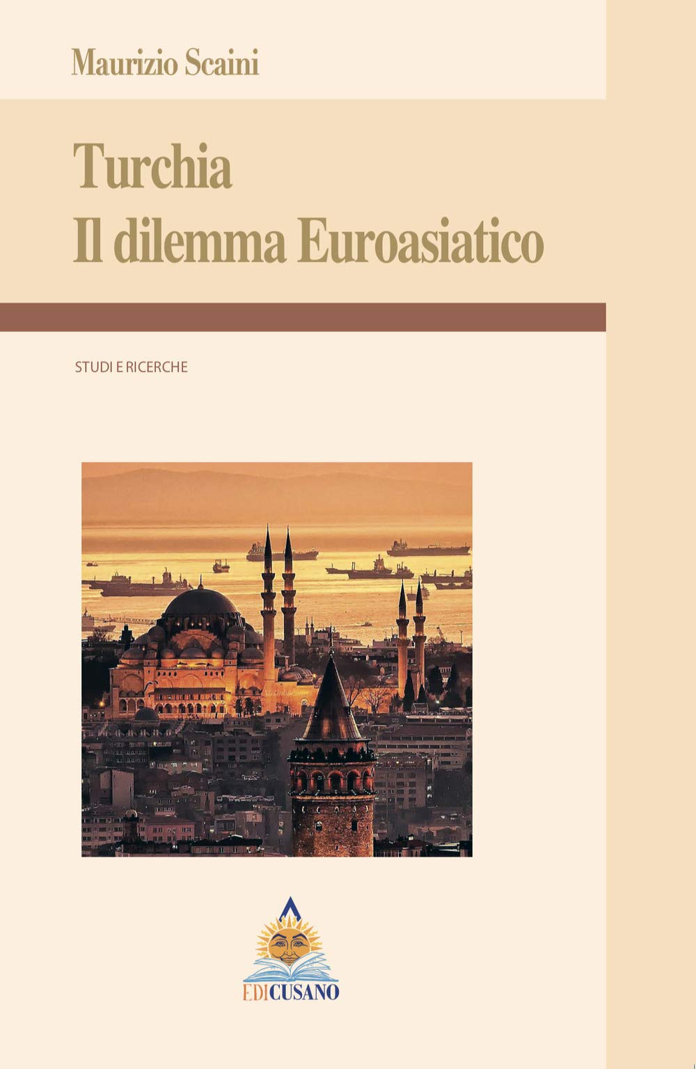 Turchia. Il dilemma euroasiatico book