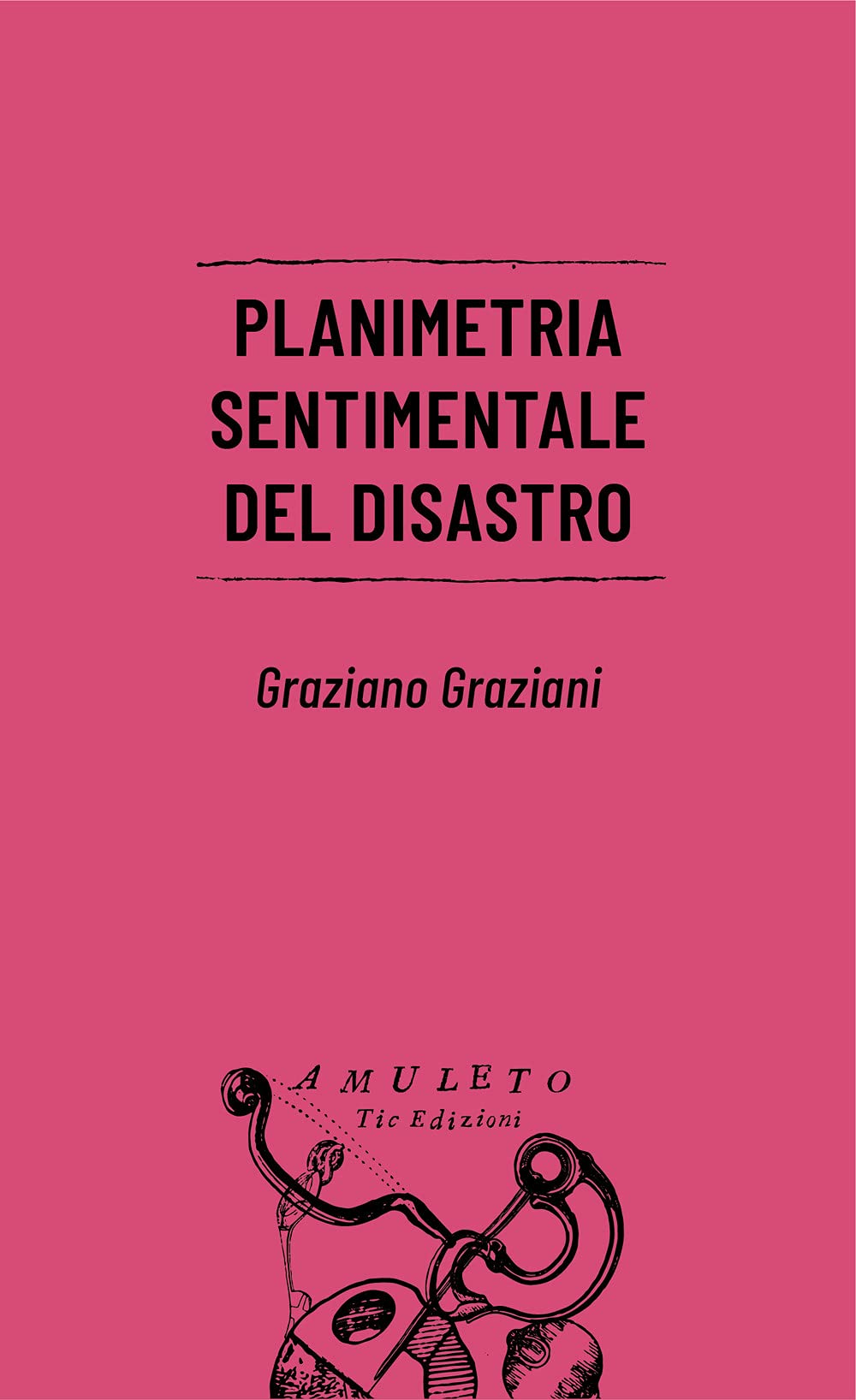Planimetria sentimentale del disastro book