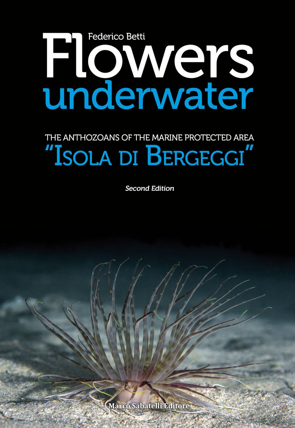 Flowers underwater. The anthozoas of the marine protected area «Isola di Bergeggi» Books