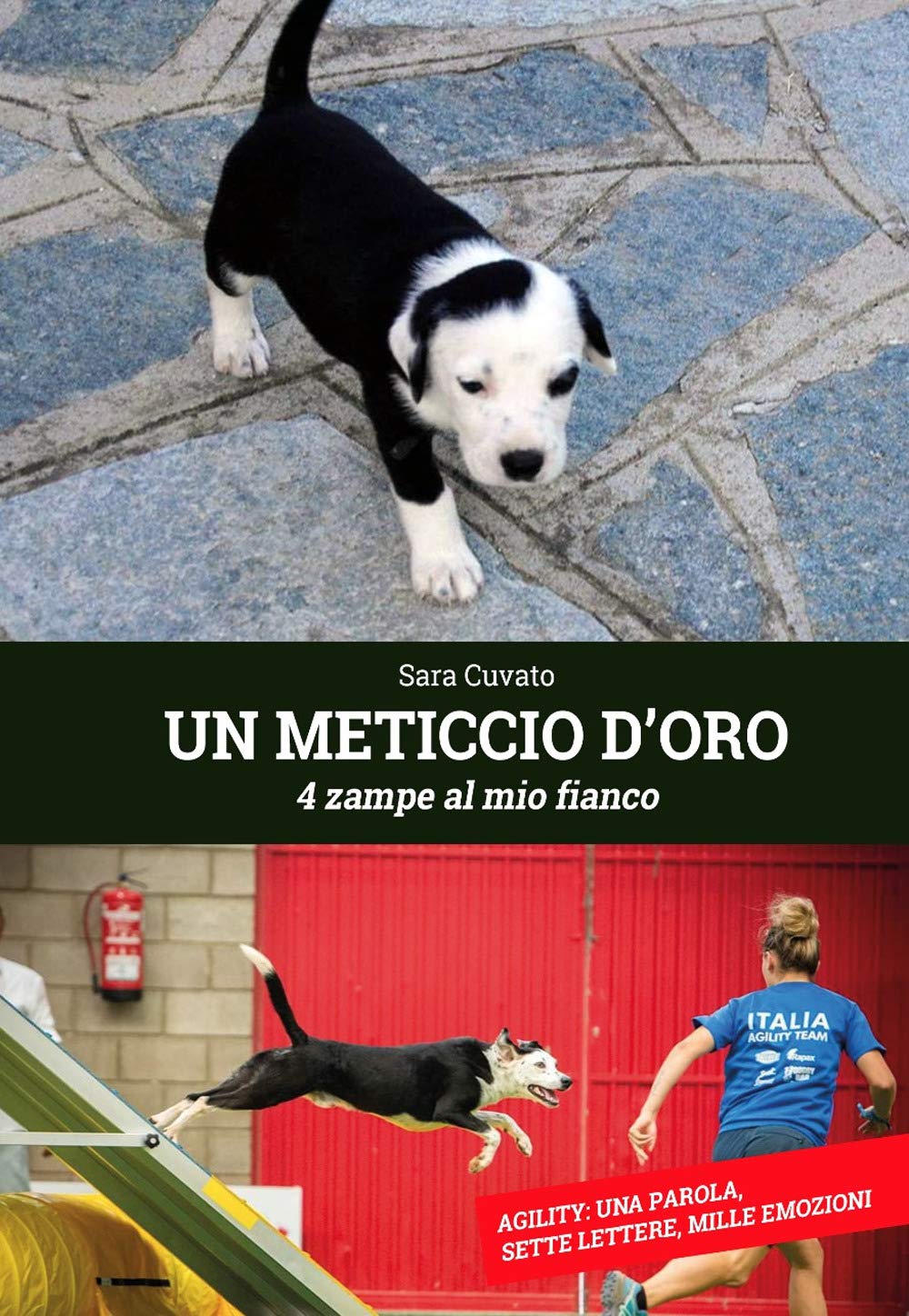 Un meticcio d'oro. 4 zampe al mio fianco. Ediz. integrale Novels & Short Stories