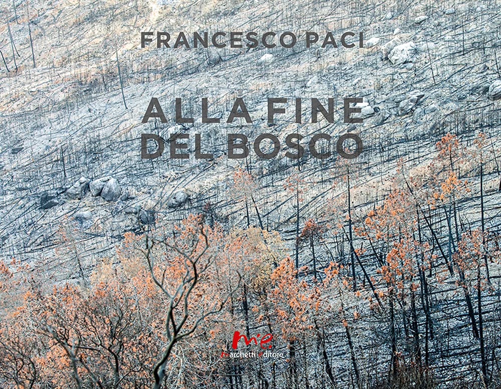 Product Image: Alla fine del bosco