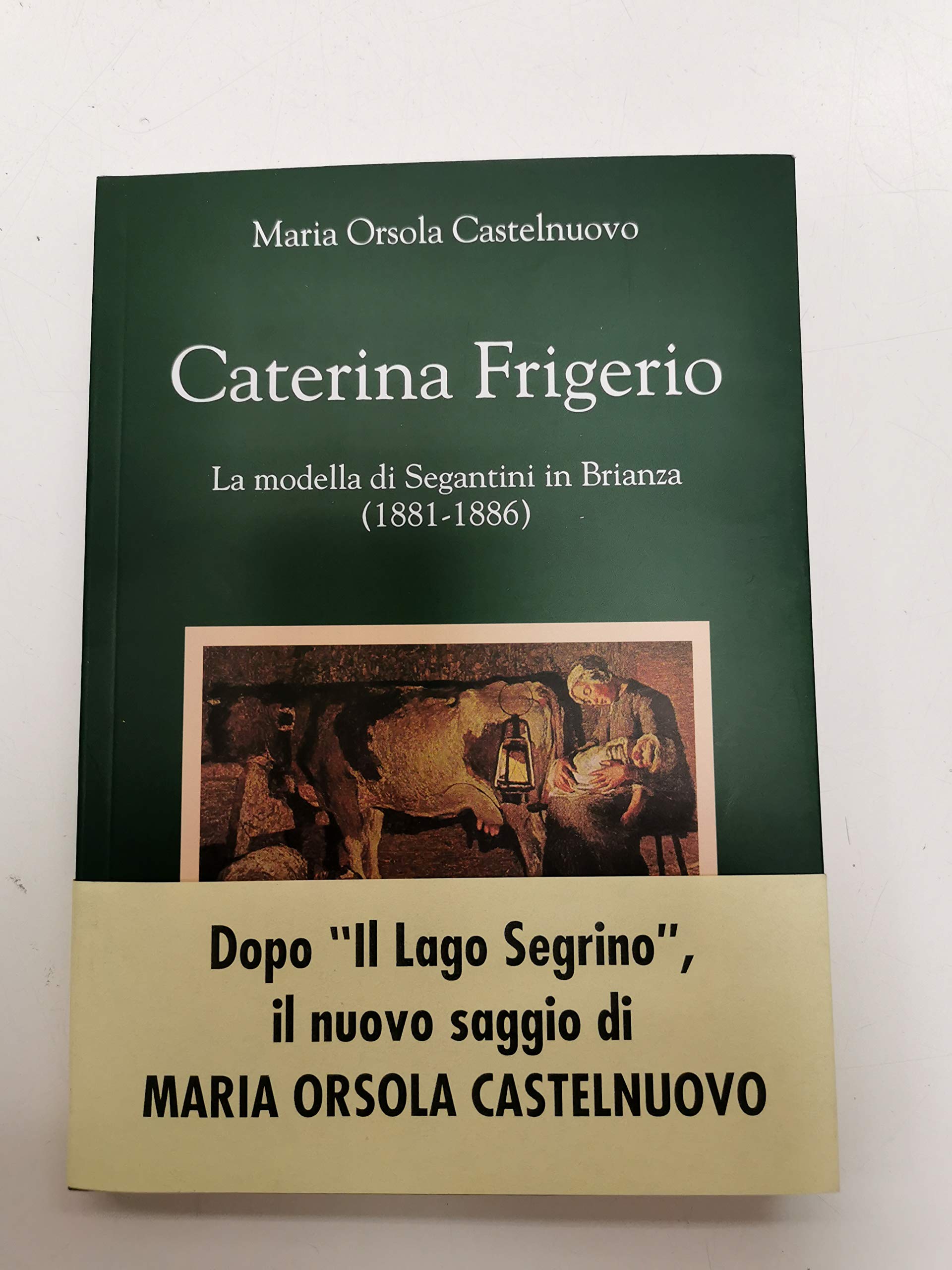 Caterina Frigerio. La modella di Segantini in Brianza (1881-1886) book