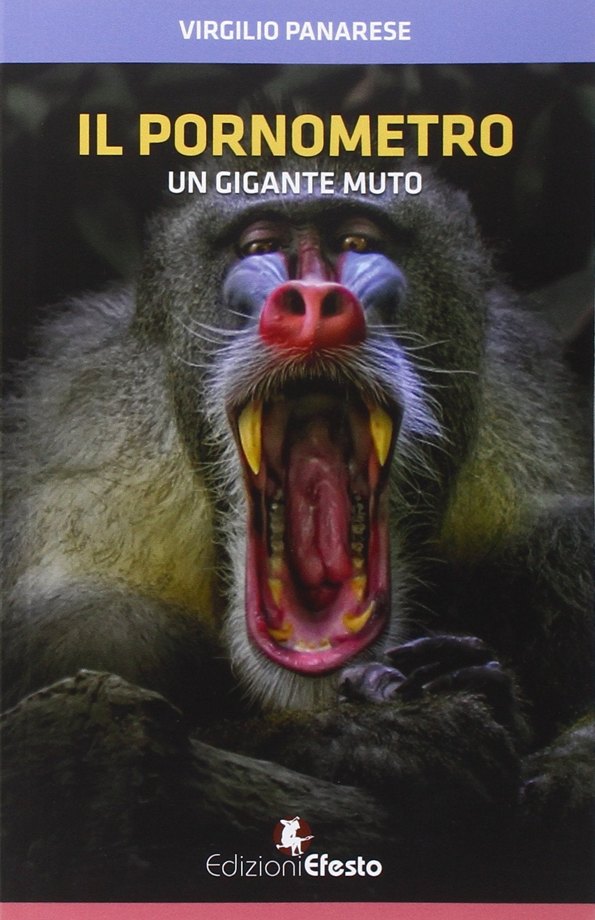 Il pornometro. Un gigante muto Contemporary literature