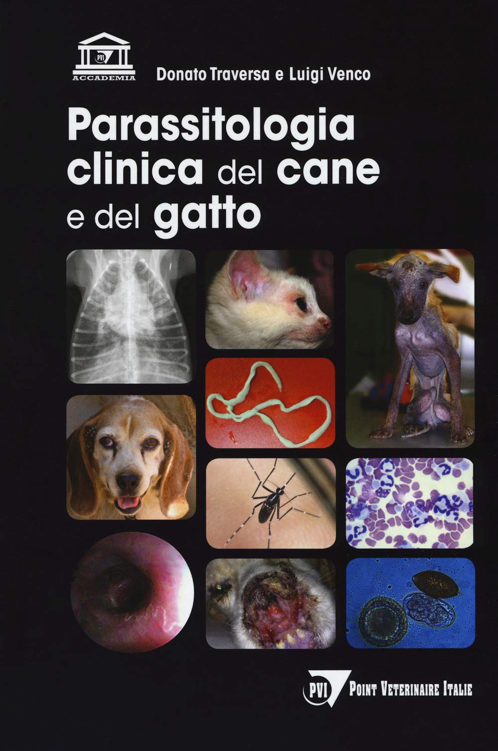 Parassitologia Clinica Del Cane E Del Gatto Medicine