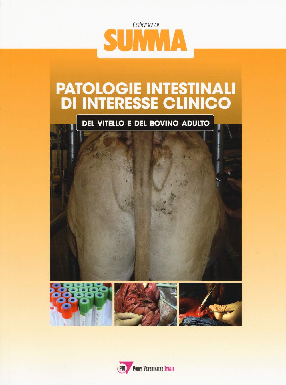 Patologie intestinali di interesse clinico del vitello e del bovino adulto Medicine