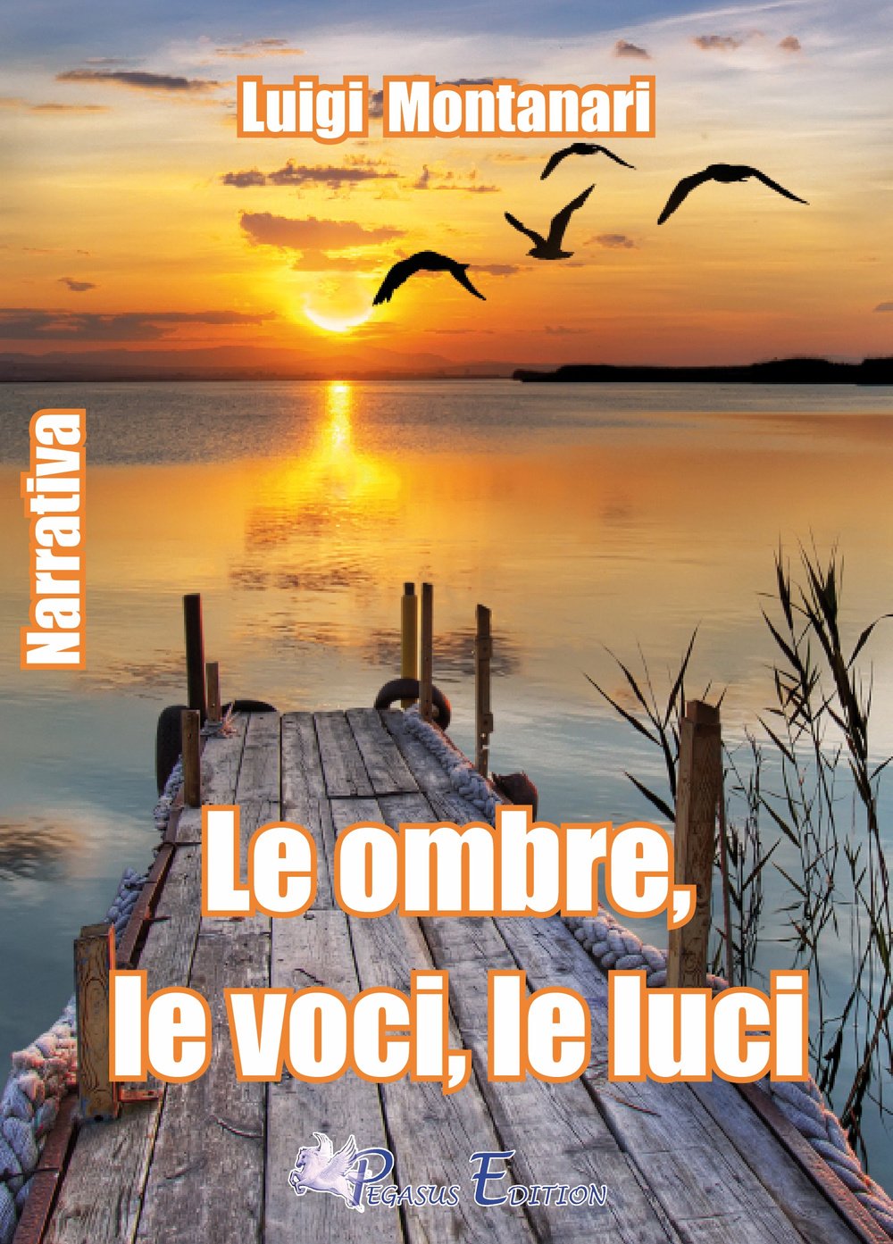 Le ombre, le luci, le voci book