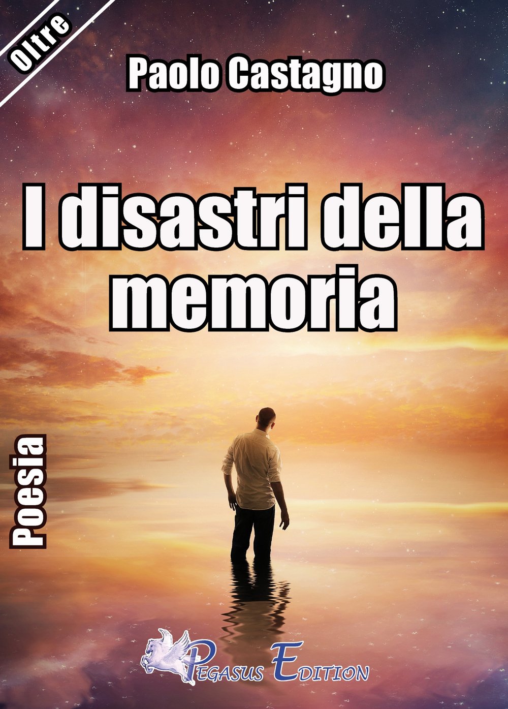 I disastri della memoria Poetry