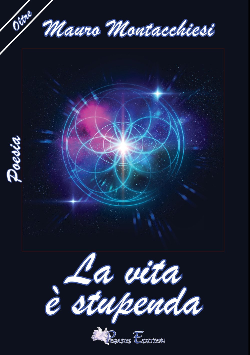 La vita è stupenda book
