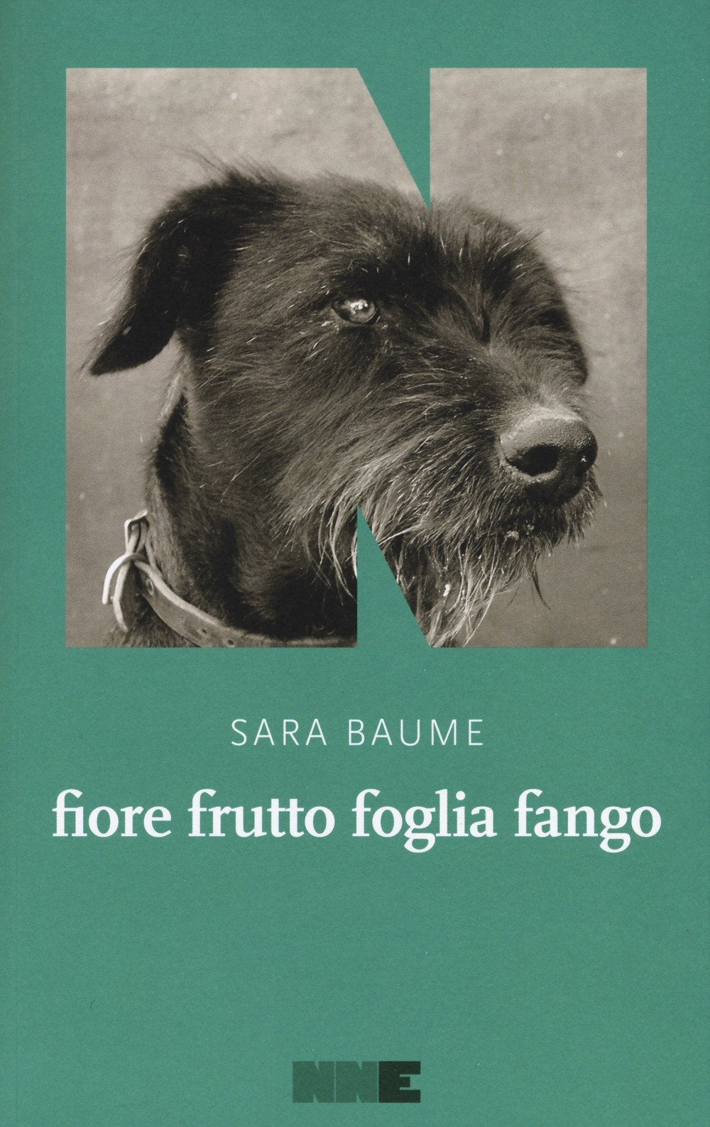 Fiore frutto foglia fango Contemporary literature