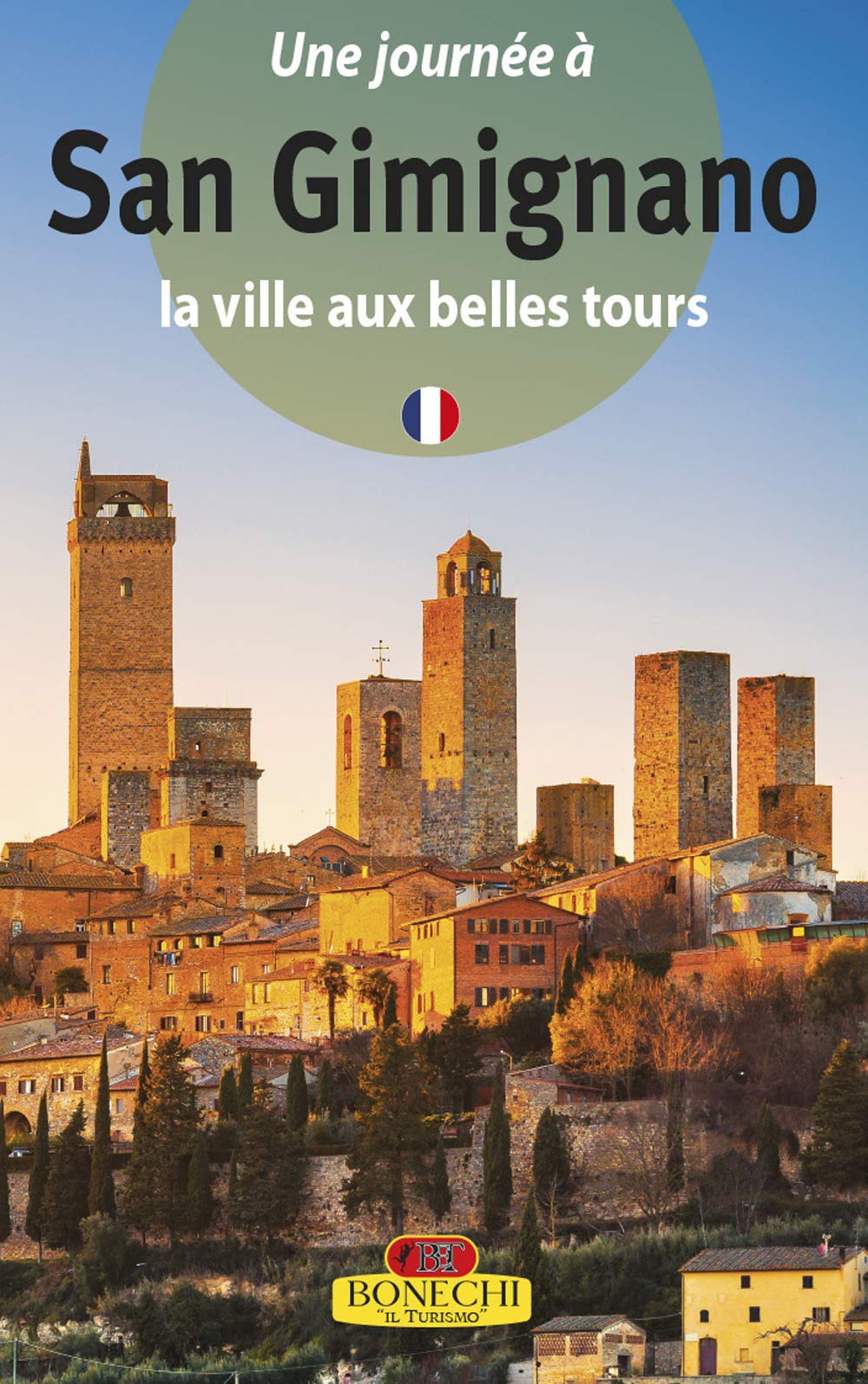 San Gimignano. La città dalle belle torri. Ediz. francese Leisure, Home & Garden