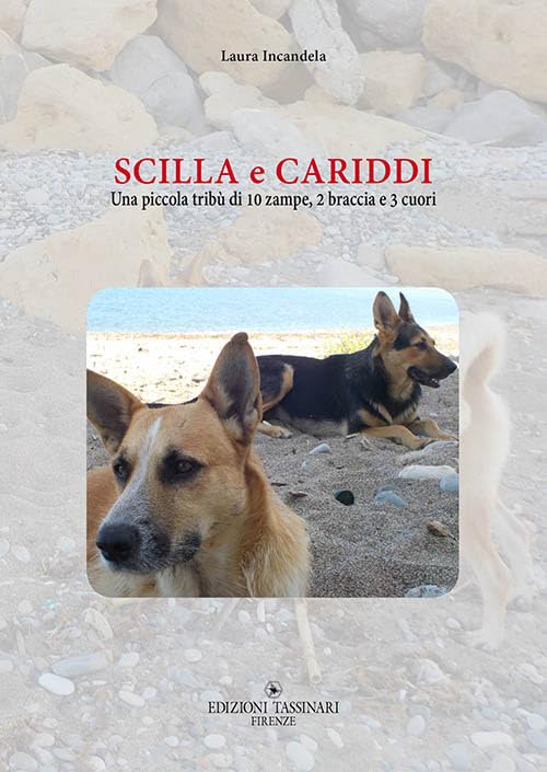 Scilla e Cariddi. Una piccola tribù di 10 zampe, 2 braccia e 3 cuori book