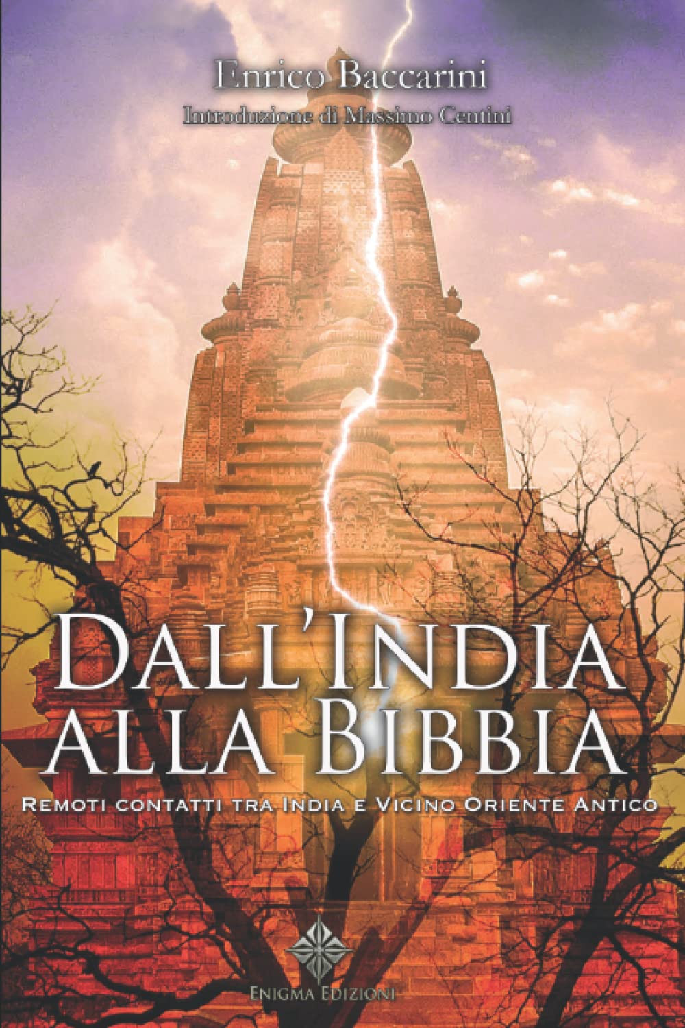 Dall'India alla Bibbia: Remoti contatti tra India e Vicino Oriente antico book