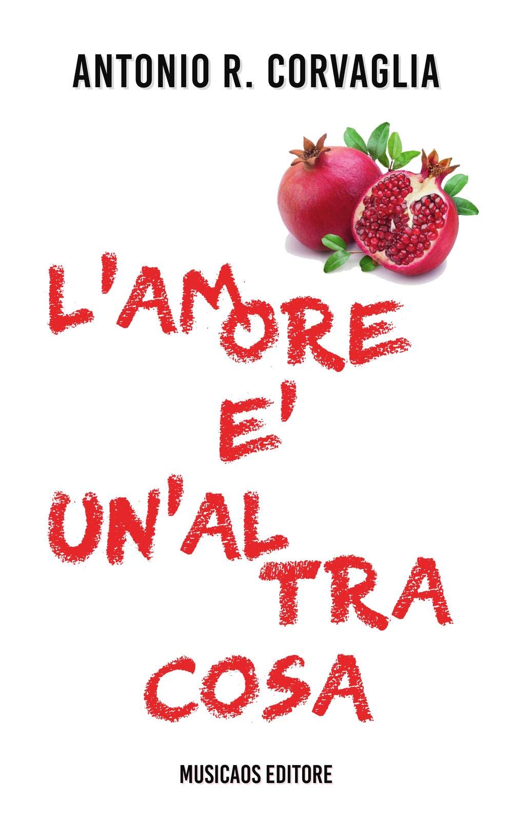 L'amore è un'altra cosa book