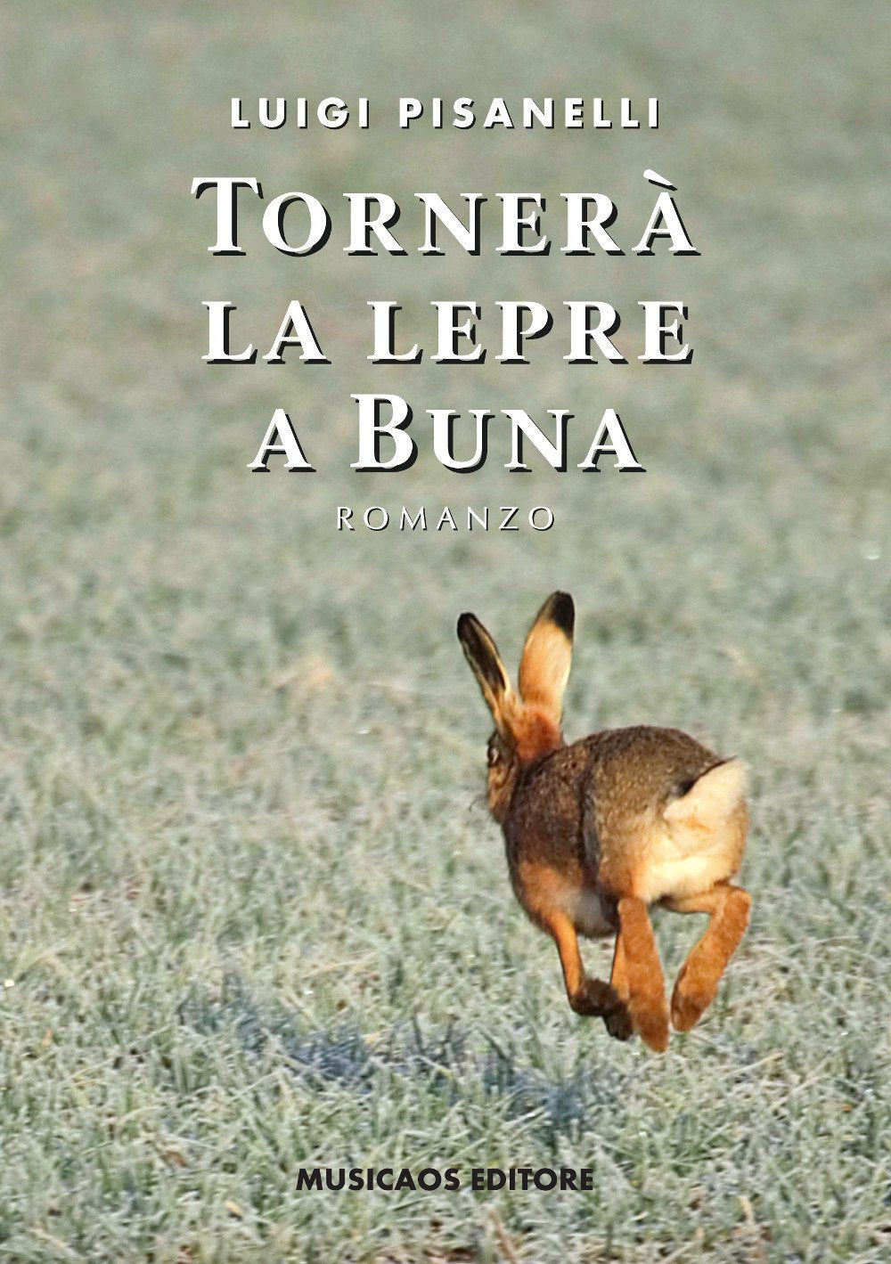 Tornerà la lepre a Buna (Narrativa) Contemporary literature