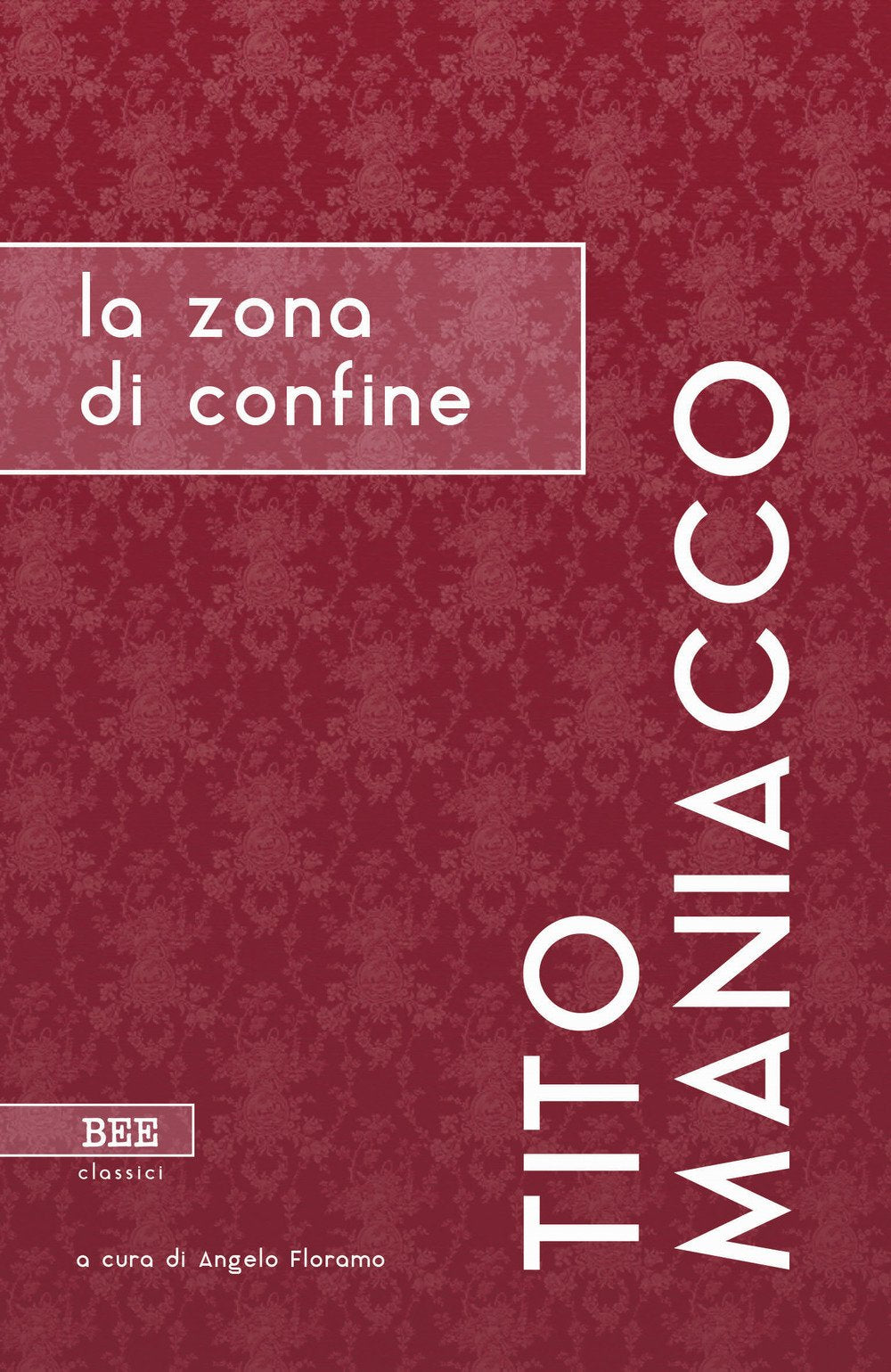 La zona di confine book