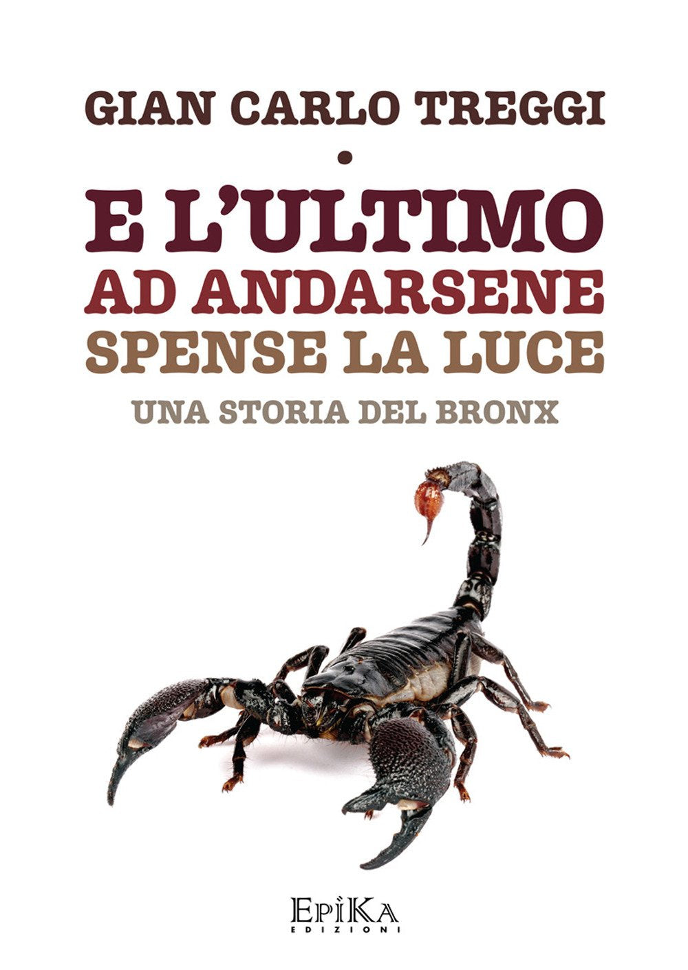 E l'ultimo ad andarsene spense la luce. Una storia del Bronx Contemporary literature
