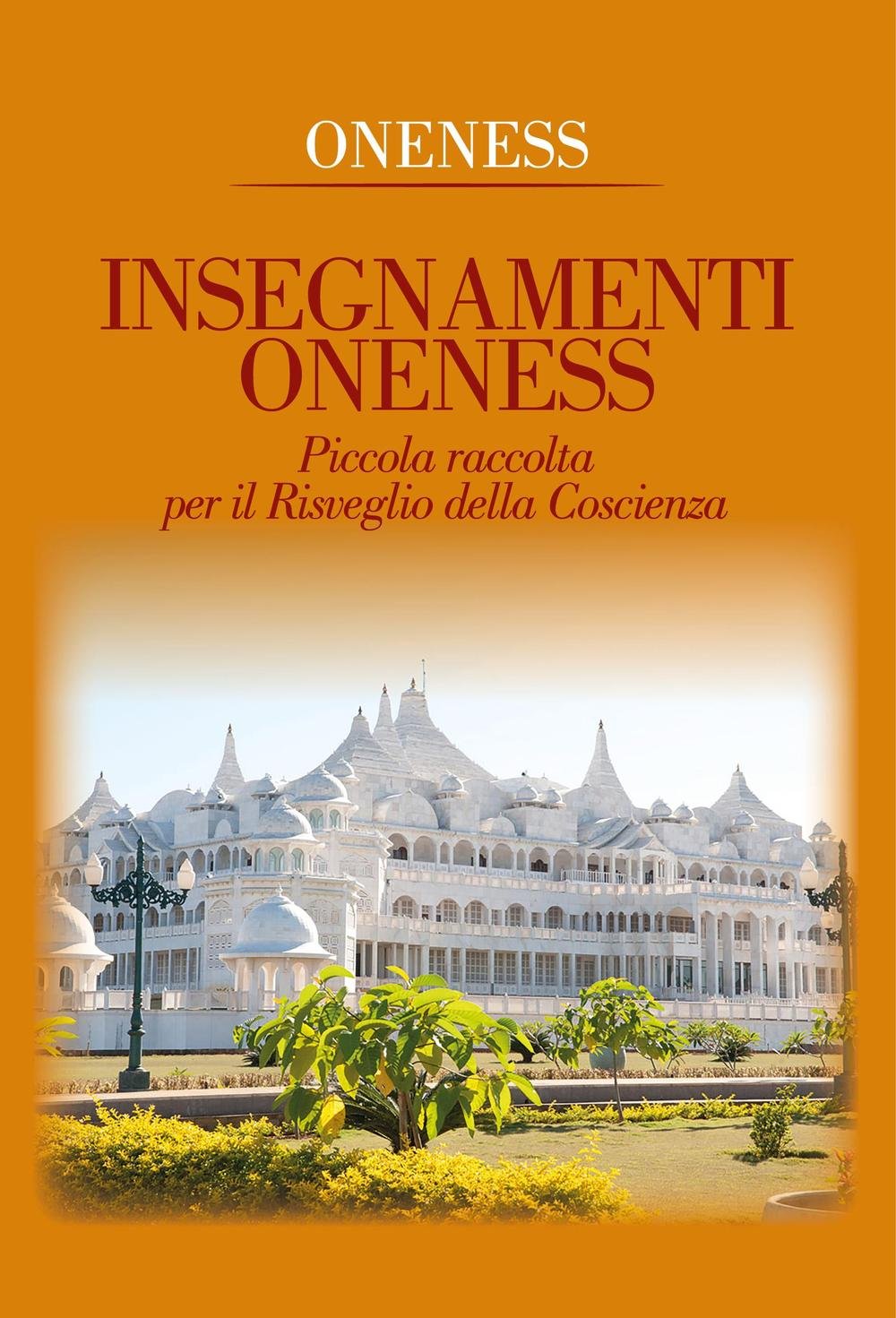 Insegnamenti oneness. Piccola raccolta per il risveglio della coscienza book