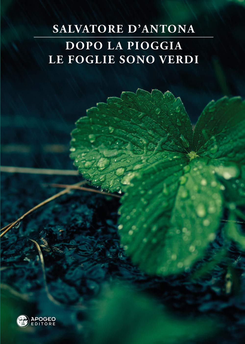 Dopo la pioggia le foglie sono verdi book