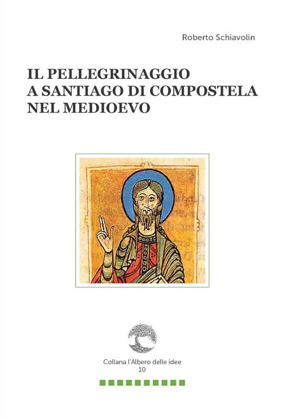 Il pellegrinaggio a Santiago di Compostela nel Medioevo book