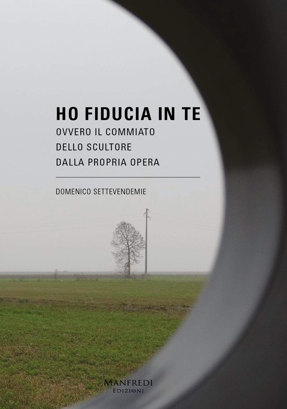 Ho fiducia in te. Ovvero il commiato dello scultore dalla propria opera Contemporary literature